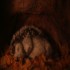 Hedgehog's Home by Eva Cvijanović Premieres Online 17 Dec Hedgehog's Home by Eva Cvijanović Premieres Online 17 Dec