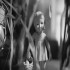 On the Other Side of the Woods by Anu-Laura Tuttelberg On the Other Side of the Woods by Anu-Laura Tuttelberg