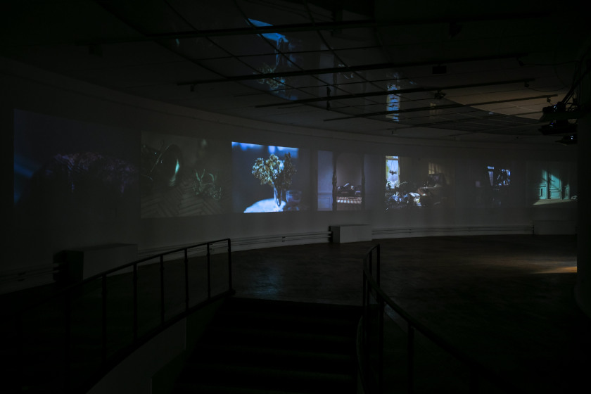 The Family Portrait Zagreb installation
