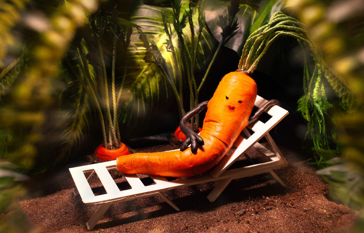 Queer Animation: 'Carrotica' by Daniel Sterlin-Altman
