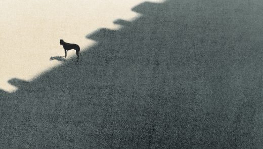 Peripheria by David Coquard-Dassault animation film still